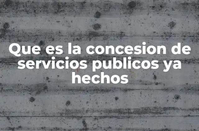 Que es la Concesion de Servicios Publicos Ya Hechos