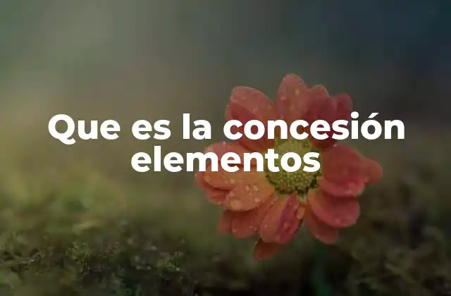 Que es la Concesión Elementos