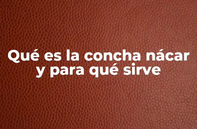 Qué es la Concha Nácar y para Qué Sirve