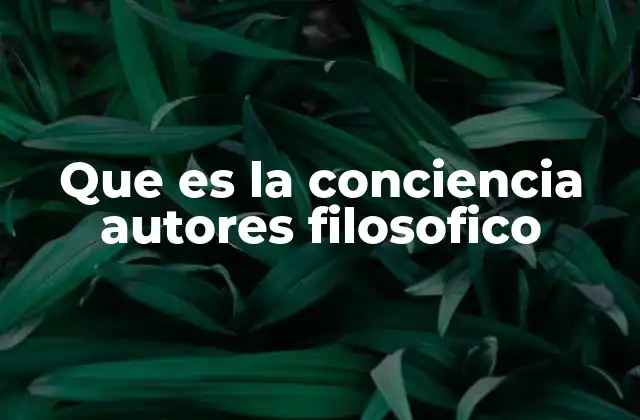 Que es la Conciencia Autores Filosofico
