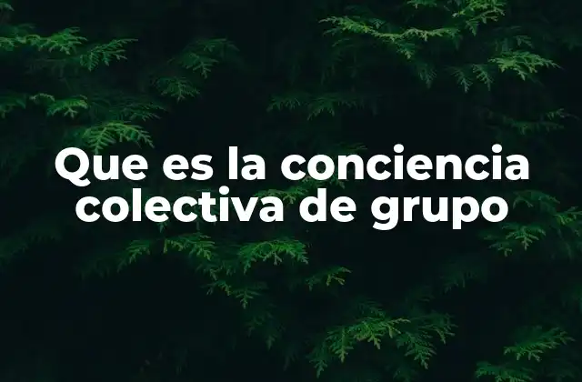 Que es la Conciencia Colectiva de Grupo