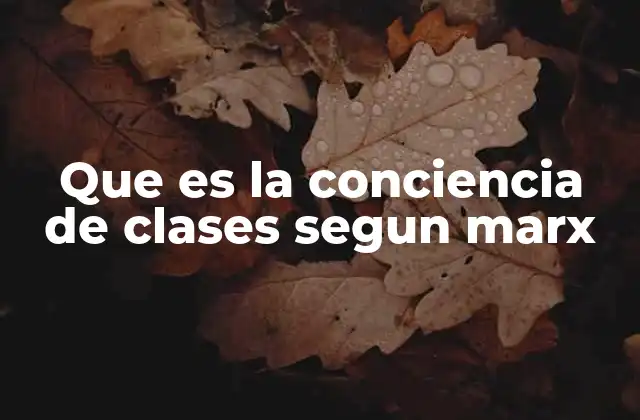 Que es la Conciencia de Clases Segun Marx 2 El papel de la lucha de clases en la formación de la conciencia