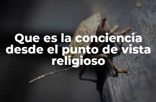 Que es la Conciencia desde el Punto de Vista Religioso