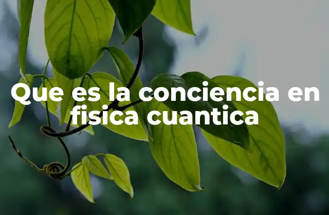 Que es la Conciencia en Fisica Cuantica