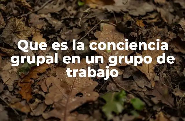 Que es la Conciencia Grupal en un Grupo de Trabajo