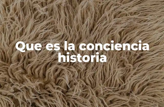 Que es la Conciencia Historia