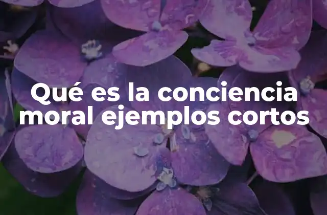 Cómo se desarrolla la conciencia moral a lo largo de la vida