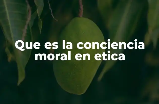 Que es la Conciencia Moral en Etica