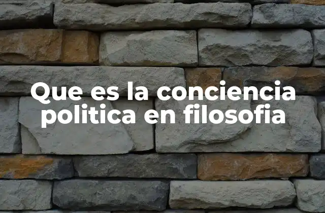 Que es la Conciencia Politica en Filosofia