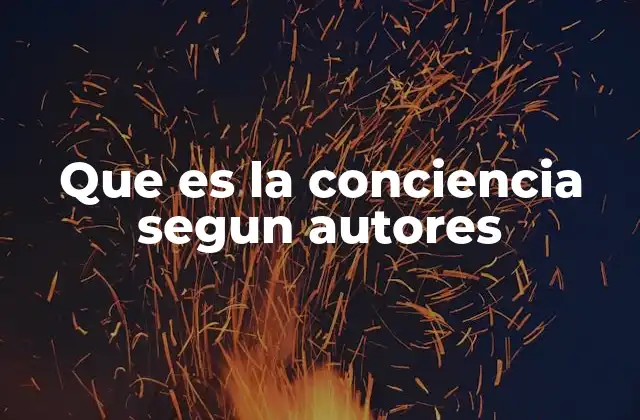 Que es la Conciencia Segun Autores