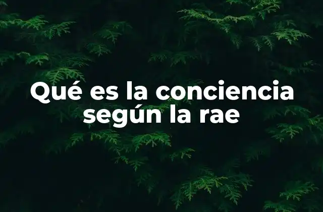 Qué es la Conciencia según la Rae