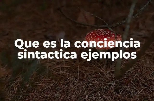 Que es la Conciencia Sintactica Ejemplos