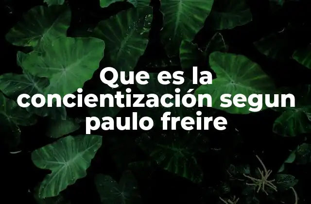 Que es la Concientización Segun Paulo Freire
