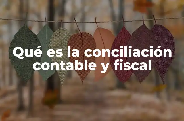 Qué es la Conciliación Contable y Fiscal 2 El papel de la contabilidad en la conciliación fiscal