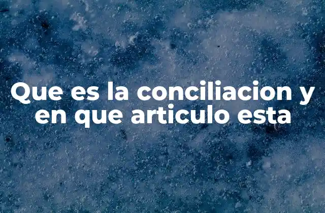 Que es la Conciliacion y en que Articulo Esta