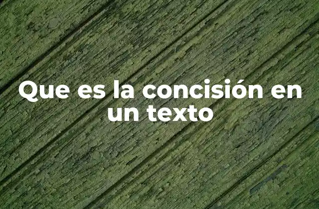 Que es la Concisión en un Texto