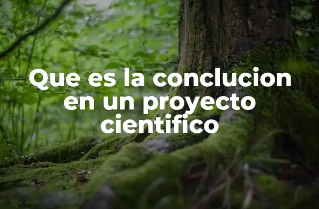 Que es la Conclucion en un Proyecto Cientifico