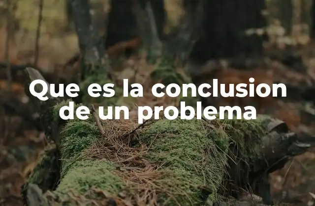 Que es la Conclusion de un Problema