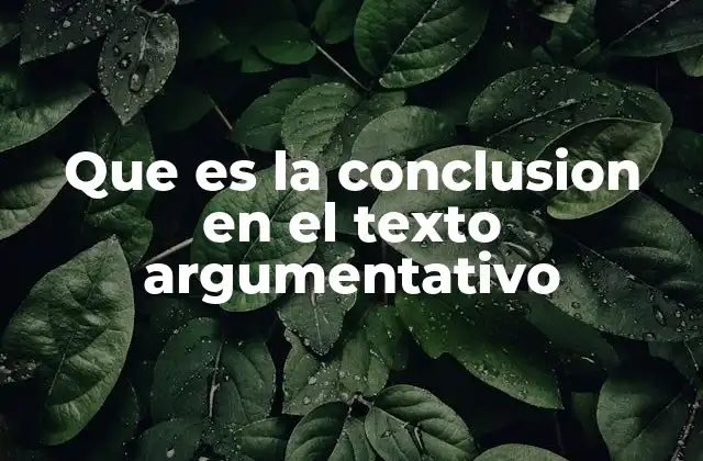 Que es la Conclusion en el Texto Argumentativo