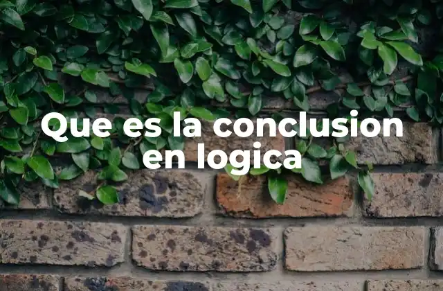 Que es la Conclusion en Logica
