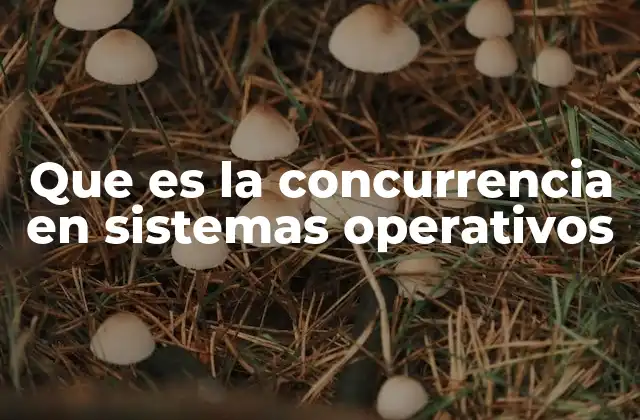 Que es la Concurrencia en Sistemas Operativos