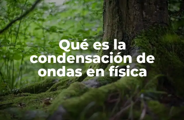 Qué es la Condensación de Ondas en Física 2 Fenómenos cuánticos y la coherencia a gran escala