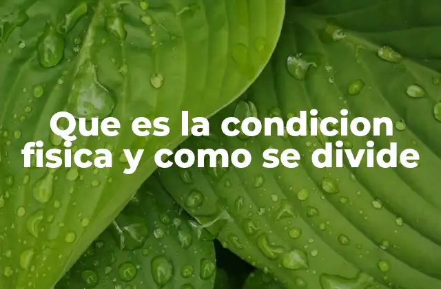 Que es la Condicion Fisica y como Se Divide