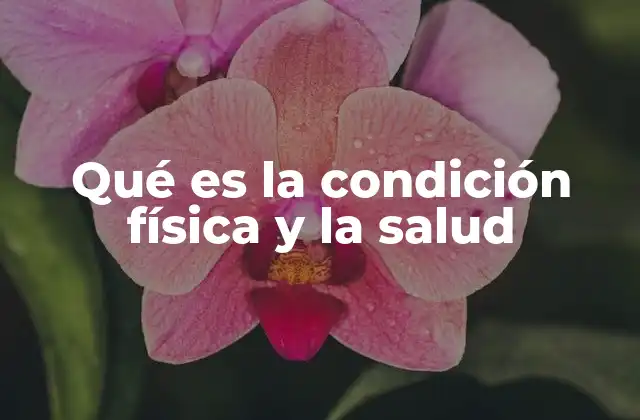 Qué es la Condición Física y la Salud