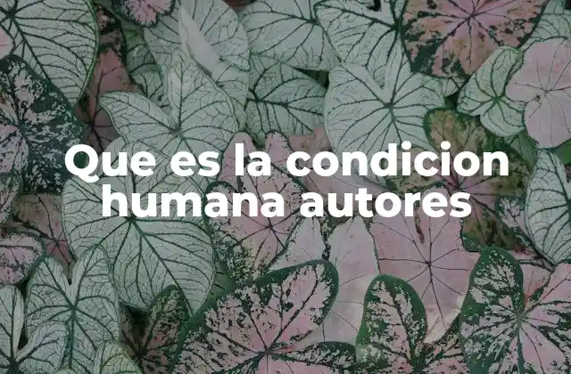 Que es la Condicion Humana Autores