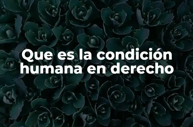 Que es la Condición Humana en Derecho