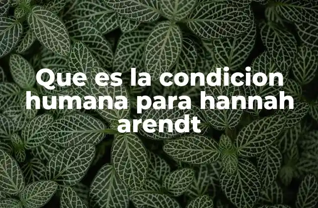 Que es la Condicion Humana para Hannah Arendt