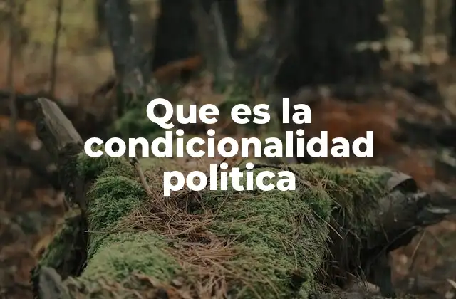 Que es la Condicionalidad Politica