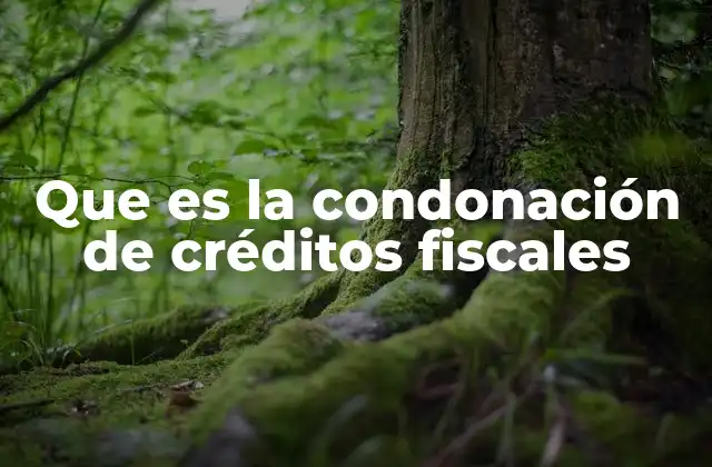 Que es la Condonación de Créditos Fiscales