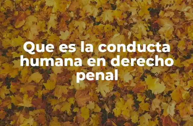 Que es la Conducta Humana en Derecho Penal