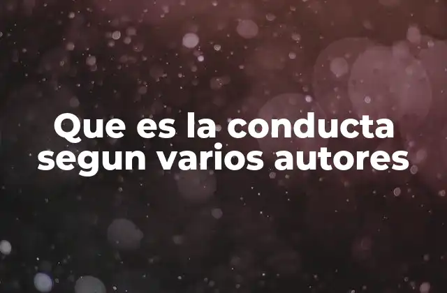 Diferentes enfoques para entender el comportamiento humano