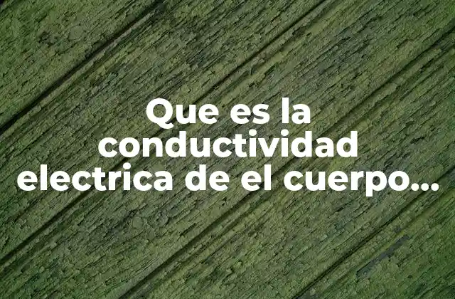 Que es la Conductividad Electrica de el Cuerpo Humano