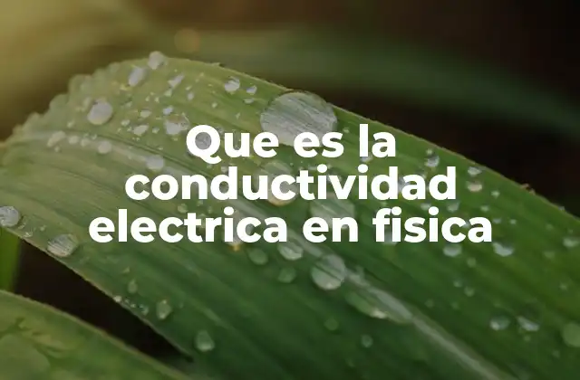 Que es la Conductividad Electrica en Fisica