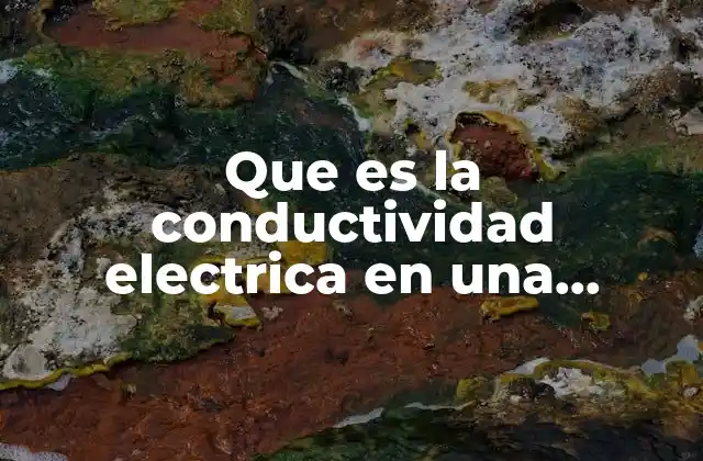 Que es la Conductividad Electrica en una Solucion Agronomia