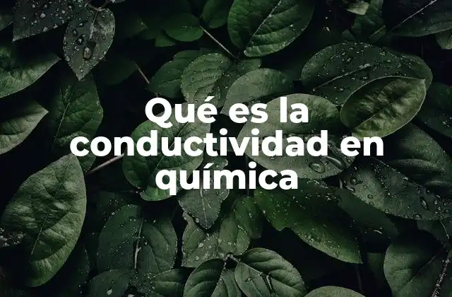 Qué es la Conductividad en Química