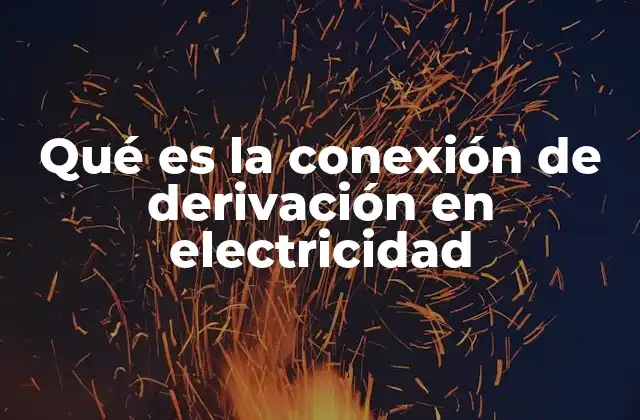 Qué es la Conexión de Derivación en Electricidad