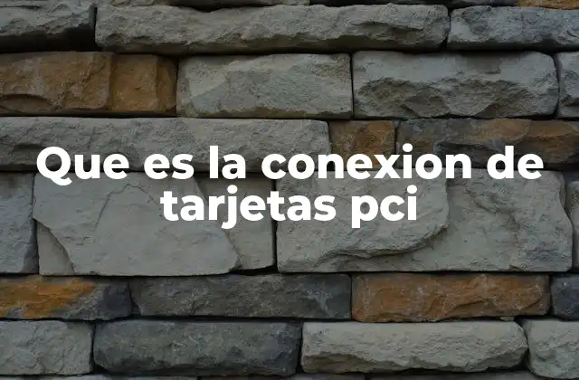 Que es la Conexion de Tarjetas Pci