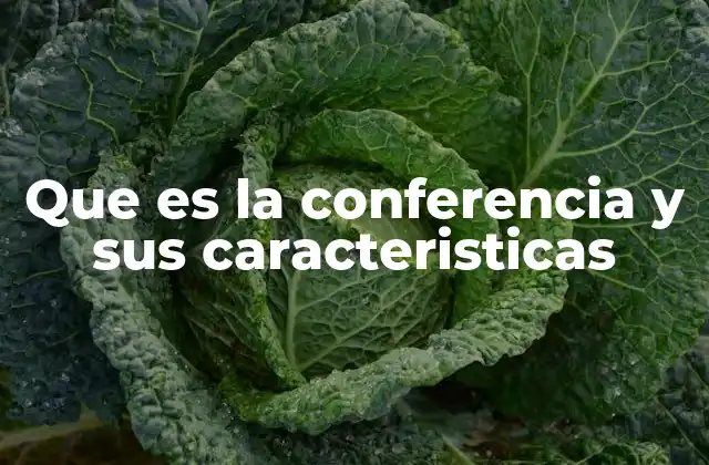Que es la Conferencia y Sus Caracteristicas