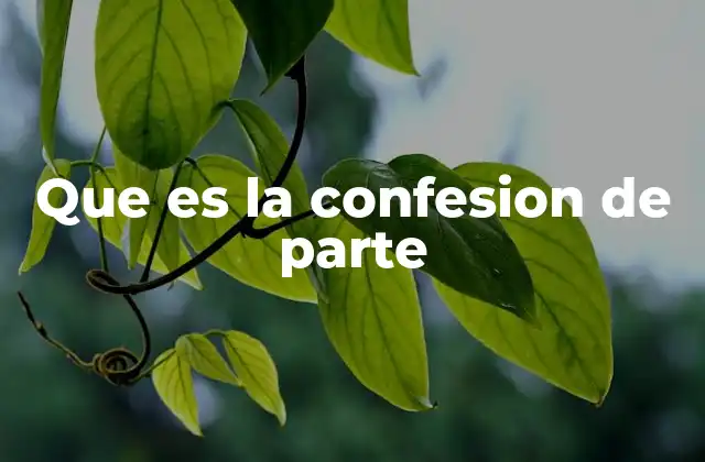 Que es la Confesion de Parte