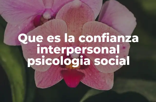 Que es la Confianza Interpersonal Psicologia Social