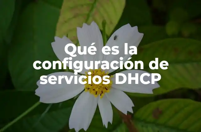 Qué es la Configuración de Servicios Dhcp