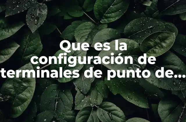 Que es la Configuración de Terminales de Punto de Venta
