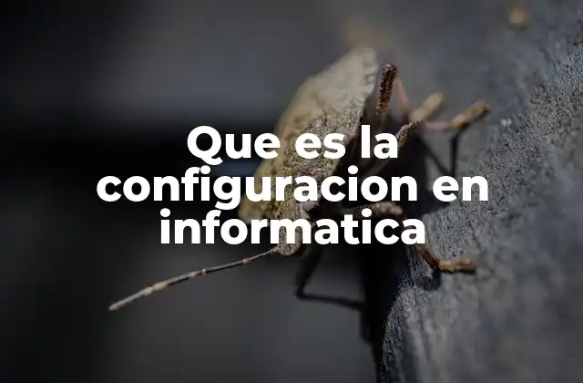 Que es la Configuracion en Informatica