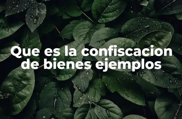 Que es la Confiscacion de Bienes Ejemplos