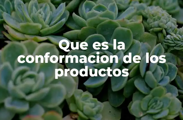 Que es la Conformacion de los Productos