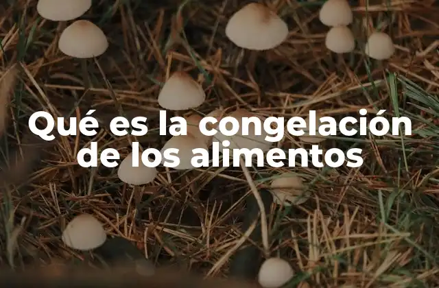 Qué es la Congelación de los Alimentos